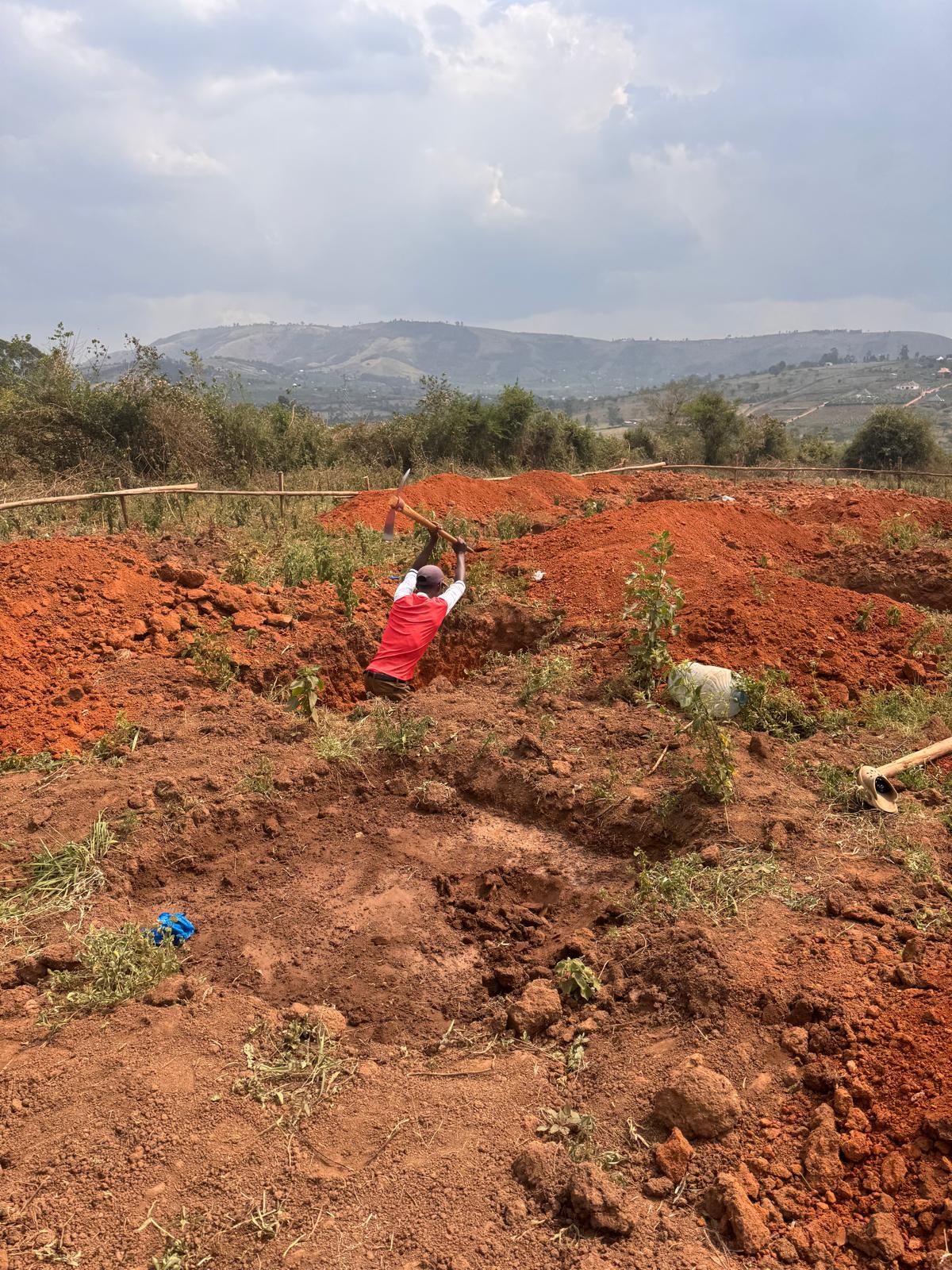 Community agriculture