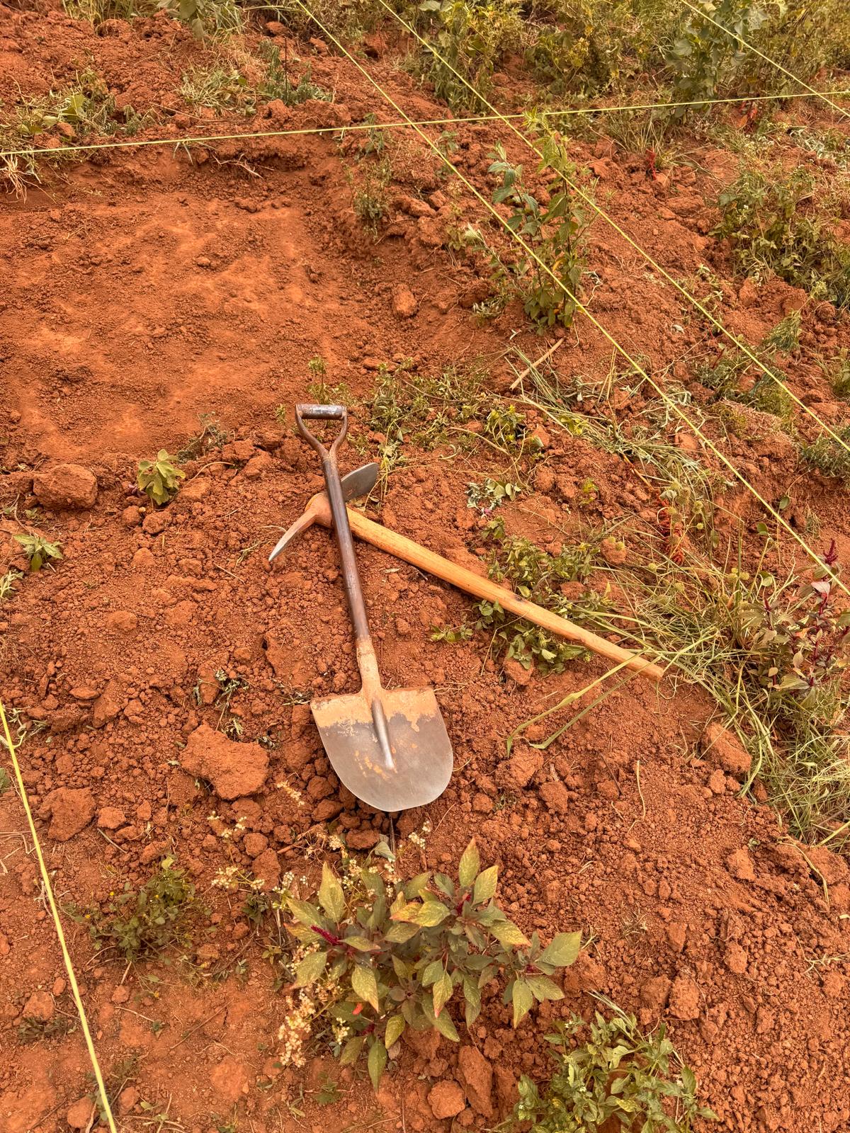 Partnership collaboration