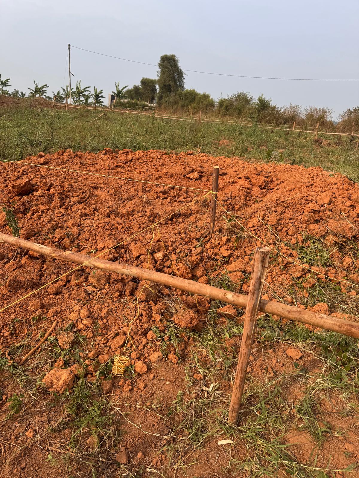 Community collaboration in Uganda